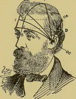 Picture 9 of 15 from How to read heads, or, Practical physiognomy made easy : the science and art of reading character briefly outlined, illustrated, and explained / by James Coates. (1890), leaf 49