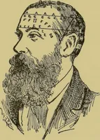 Picture 11 of 15 from How to read heads, or, Practical physiognomy made easy : the science and art of reading character briefly outlined, illustrated, and explained / by James Coates. (1890), leaf 53