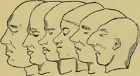 An illustration from How to read heads, or, Practical physiognomy made easy : the science and art of reading character briefly outlined, illustrated, and explained / by James Coates. (1890)