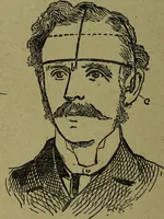 An illustration from How to read heads, or, Practical lessons on the application of phrenology to the reading of character / by James Coates. (1891)