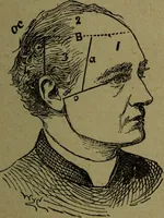 An illustration from How to read heads, or, Practical lessons on the application of phrenology to the reading of character / by James Coates. (1891)