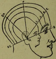 An illustration from How to read heads, or, Practical lessons on the application of phrenology to the reading of character / by James Coates. (1891)