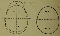 An illustration from How to read heads, or, Practical lessons on the application of phrenology to the reading of character / by James Coates. (1891)