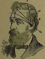 An illustration from How to read heads, or, Practical lessons on the application of phrenology to the reading of character / by James Coates. (1891)
