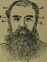An illustration from How to read heads, or, Practical lessons on the application of phrenology to the reading of character / by James Coates. (1891)