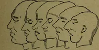 An illustration from How to read heads, or, Practical lessons on the application of phrenology to the reading of character / by James Coates. (1891)