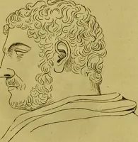 An illustration from Orthodox phrenology / by A.L. Vago. (1871)