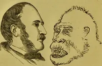 An illustration from Orthodox phrenology / by A.L. Vago. (1871)