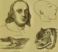 An illustration from Orthodox phrenology / by A.L. Vago. (1871)