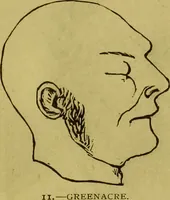 Picture 5 of 41 from Orthodox phrenology / by A.L. Vago. (1871), leaf 20