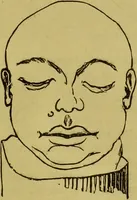 An illustration from Orthodox phrenology / by A.L. Vago. (1871)