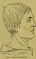 An illustration from Orthodox phrenology / by A.L. Vago. (1871)