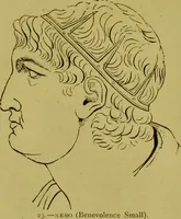 An illustration from Orthodox phrenology / by A.L. Vago. (1871)
