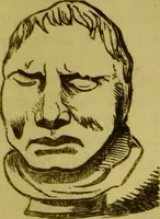 An illustration from Orthodox phrenology / by A.L. Vago. (1871)