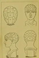 Picture 2 of 41 from Orthodox phrenology / by A.L. Vago. (1871), leaf 6
