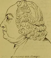 An illustration from Orthodox phrenology / by A.L. Vago. (1871)