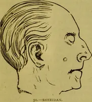Picture 32 of 41 from Orthodox phrenology / by A.L. Vago. (1871), leaf 79