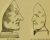 Picture 36 of 41 from Orthodox phrenology / by A.L. Vago. (1871), leaf 86