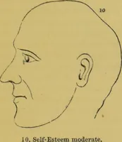 An illustration from Elements of phrenology / by George Combe. (1855)