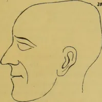 An illustration from Elements of phrenology / by George Combe. (1855)