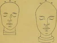 An illustration from Elements of phrenology / by George Combe. (1855)