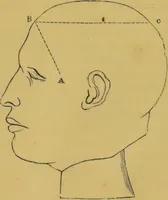 Picture 5 of 46 from Elements of phrenology / by George Combe. (1855), leaf 55