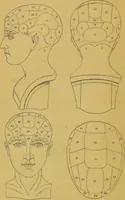 An illustration from Elements of phrenology / by George Combe. (1855)