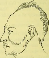 An illustration from A manual of phrenology : designed for the use of teachers, students, and others / by Alfred T. Story. (1880)