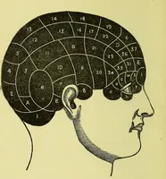 An illustration from A manual of phrenology : designed for the use of teachers, students, and others / by Alfred T. Story. (1880)