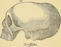 An illustration from Lectures on phrenology / by George Combe ; including its application to the present and prospective condition of the United States, with notes, an introductory essay, and a historical sketch by Andrew Boardman. (1889)