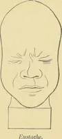 An illustration from Lectures on phrenology / by George Combe ; including its application to the present and prospective condition of the United States, with notes, an introductory essay, and a historical sketch by Andrew Boardman. (1889)