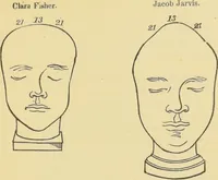 An illustration from Lectures on phrenology / by George Combe ; including its application to the present and prospective condition of the United States, with notes, an introductory essay, and a historical sketch by Andrew Boardman. (1889)