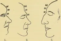 An illustration from Lectures on phrenology / by George Combe ; including its application to the present and prospective condition of the United States, with notes, an introductory essay, and a historical sketch by Andrew Boardman. (1889)