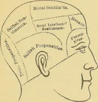 An illustration from Lectures on phrenology / by George Combe ; including its application to the present and prospective condition of the United States, with notes, an introductory essay, and a historical sketch by Andrew Boardman. (1889)