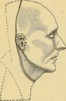 An illustration from Lectures on phrenology / by George Combe ; including its application to the present and prospective condition of the United States, with notes, an introductory essay, and a historical sketch by Andrew Boardman. (1889)