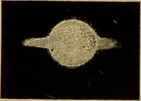 An illustration from Spectrum analysis : six lectures, delivered in 1868, before the Society of Apothecaries of London / by Henry E. Roscoe ; with appendices, coloured plates, and illustrations. (1869)
