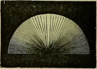 An illustration from The microscope : its history, construction, and application, being a familiar introduction to the use of the instrument, and the study of microscopical science / by Jabez Hogg ; with upwards of five hundred engravings, and coloured illustrations by Tuffen West. (1883)