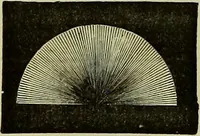 An illustration from The microscope : its history, construction, and application, being a familiar introduction to the use of the instrument, and the study of microscopical science / by Jabez Hogg ; with upwards of five hundred engravings, and coloured illustrations by Tuffen West. (1883)