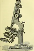 An illustration from The microscope : its history, construction, and application, being a familiar introduction to the use of the instrument, and the study of microscopical science / by Jabez Hogg ; with upwards of five hundred engravings, and coloured illustrations by Tuffen West. (1883)