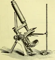 An illustration from The microscope : its history, construction, and application, being a familiar introduction to the use of the instrument, and the study of microscopical science / by Jabez Hogg ; with upwards of five hundred engravings, and coloured illustrations by Tuffen West. (1883)