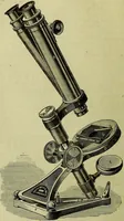 An illustration from The microscope : its history, construction, and application, being a familiar introduction to the use of the instrument, and the study of microscopical science / by Jabez Hogg ; with upwards of five hundred engravings, and coloured illustrations by Tuffen West. (1883)