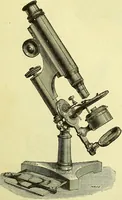 An illustration from The microscope : its history, construction, and application, being a familiar introduction to the use of the instrument, and the study of microscopical science / by Jabez Hogg ; with upwards of five hundred engravings, and coloured illustrations by Tuffen West. (1883)