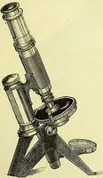 An illustration from The microscope : its history, construction, and application, being a familiar introduction to the use of the instrument, and the study of microscopical science / by Jabez Hogg ; with upwards of five hundred engravings, and coloured illustrations by Tuffen West. (1883)