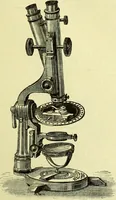 An illustration from The microscope : its history, construction, and application, being a familiar introduction to the use of the instrument, and the study of microscopical science / by Jabez Hogg ; with upwards of five hundred engravings, and coloured illustrations by Tuffen West. (1883)