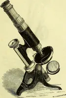 An illustration from The microscope : its history, construction, and application, being a familiar introduction to the use of the instrument, and the study of microscopical science / by Jabez Hogg ; with upwards of five hundred engravings, and coloured illustrations by Tuffen West. (1883)