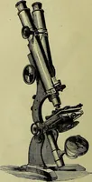 An illustration from The microscope : its history, construction, and application, being a familiar introduction to the use of the instrument, and the study of microscopical science / by Jabez Hogg ; with upwards of five hundred engravings, and coloured illustrations by Tuffen West. (1883)