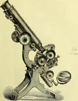 An illustration from The microscope : its history, construction, and application, being a familiar introduction to the use of the instrument, and the study of microscopical science / by Jabez Hogg ; with upwards of five hundred engravings, and coloured illustrations by Tuffen West. (1883)