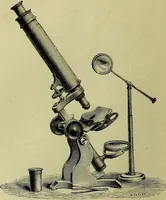 An illustration from The microscope : its history, construction, and application, being a familiar introduction to the use of the instrument, and the study of microscopical science / by Jabez Hogg ; with upwards of five hundred engravings, and coloured illustrations by Tuffen West. (1883)
