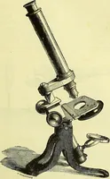 An illustration from The microscope : its history, construction, and application, being a familiar introduction to the use of the instrument, and the study of microscopical science / by Jabez Hogg ; with upwards of five hundred engravings, and coloured illustrations by Tuffen West. (1883)