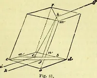 An illustration from The microscope : its history, construction, and application, being a familiar introduction to the use of the instrument, and the study of microscopical science / by Jabez Hogg ; with upwards of five hundred engravings, and coloured illustrations by Tuffen West. (1883)